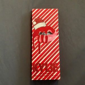 kylie cosmetics lip liner & matt liquid lipstick